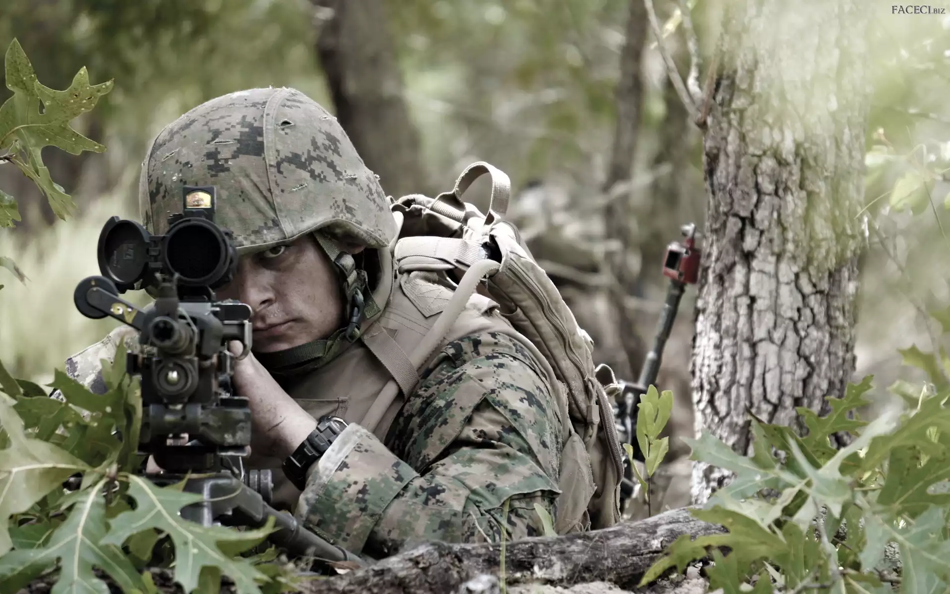 Trawa, Żołnierz, Broń