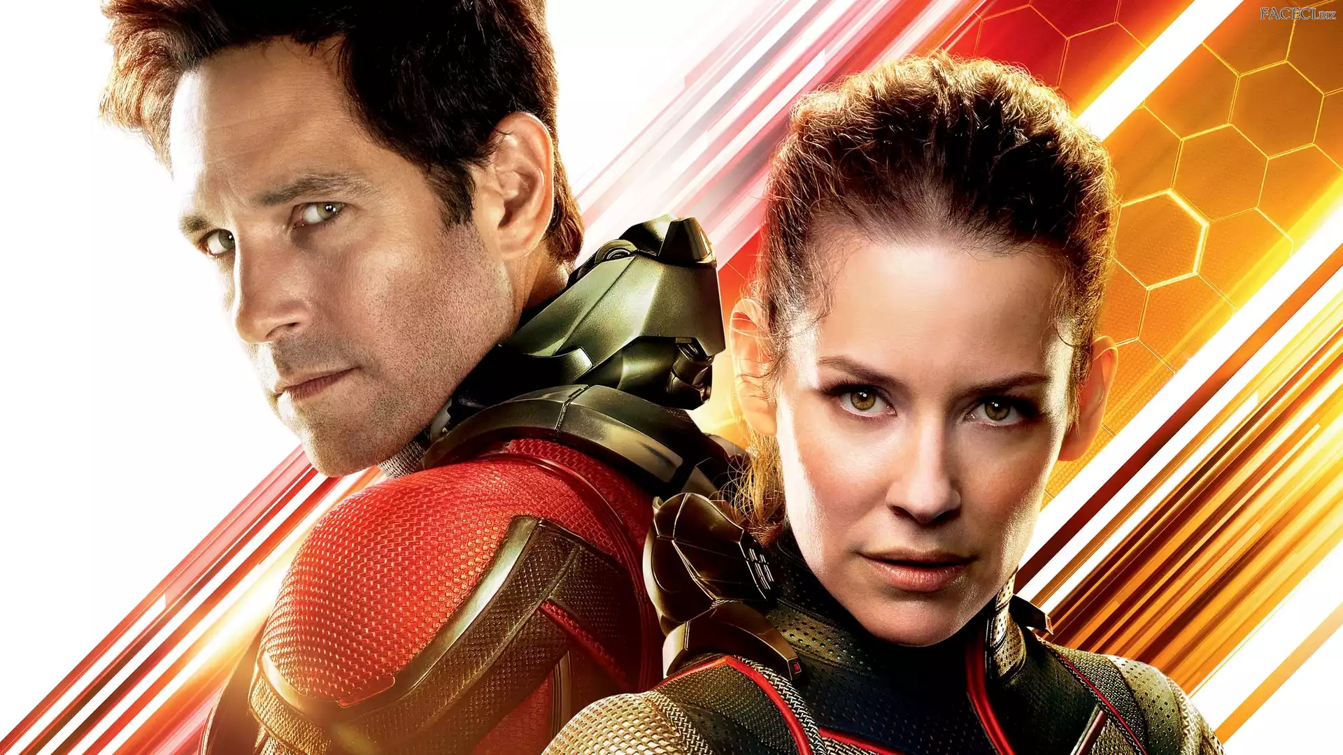 Ant-Man i Osa, Evangeline Lilly, Film, Paul Rudd